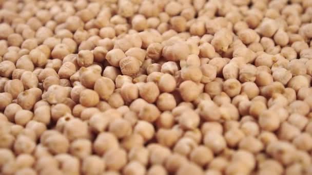 Slow Motion Chickpea Legumes Falling Heap Rotation Close Selective Focus — Stock Video