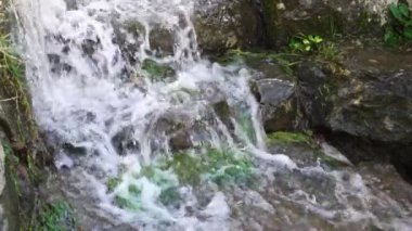 Yağmur suyu, parkta eski bir yosunlu merdiveni su basıyor. Kanalizasyon suyu. Doğal afetler. Fırtına ve sağanak yağış sonucu. Yavaş çekim.