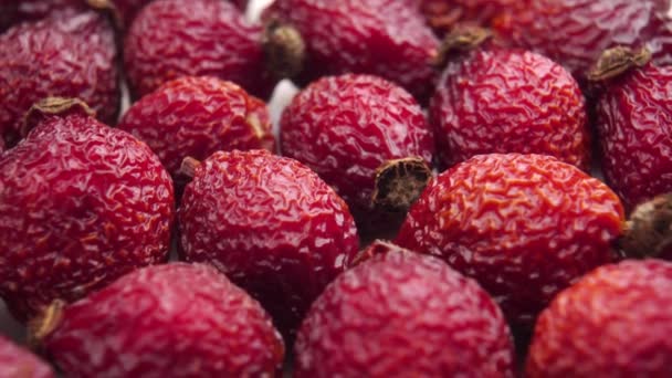 Gedroogde Rozenbottel Macro Shot Een Stelletje Rode Nuttige Geneeskrachtige Roos — Stockvideo