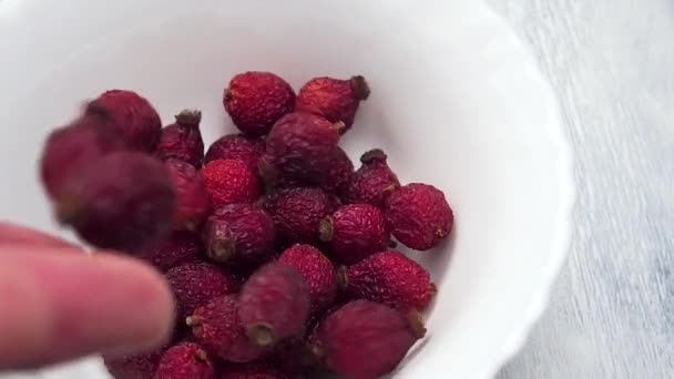 Dried Red Rose Hips Falling Empty White Ceramic Bowl Slow — Stock Video