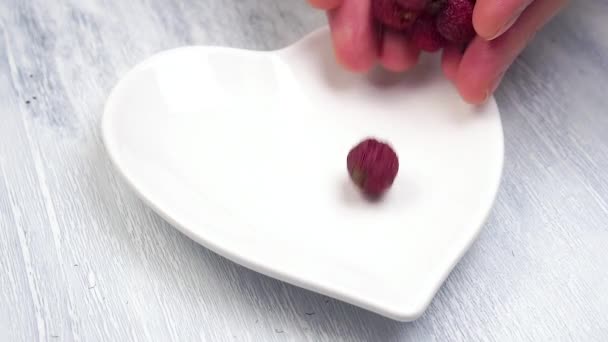 Hands Pour Dried Red Rosehips White Plate Heart Shape Slow — Stock Video