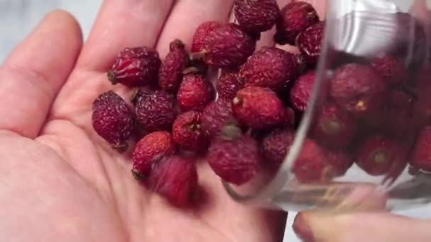Dried Rose Hips Poured Out Transparent Cup Hand Close Slow — Stock Video