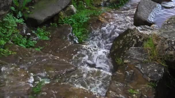 Acqua Piovana Che Inonda Una Vecchia Scala Pietra Muschiata Nel — Video Stock