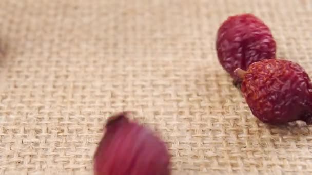 Quadris Rosa Secos Vermelhos Caem Saco Câmera Lenta Macro Shot — Vídeo de Stock