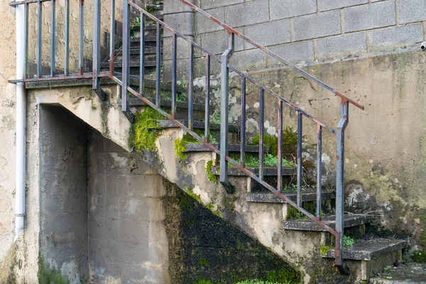 Antigua Escalera Hormigón Envejecido Destruido Cubierto Musgo Moho — Foto de Stock
