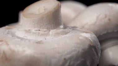 Mantarların üzerine su sıçrıyor. Şampiyon. Makro atış. Yavaş çekim