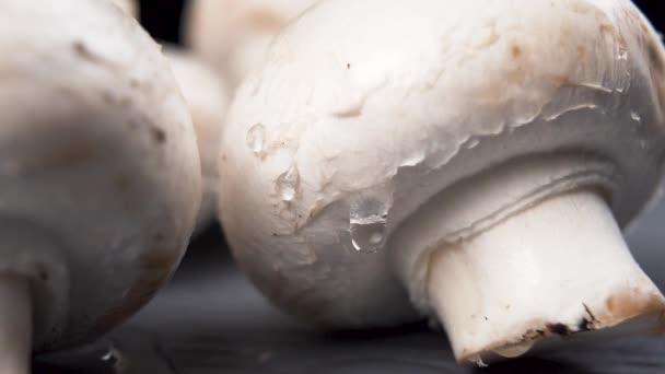 Druppels Zuiver Water Verse Champignons Slow Motion Een Macro Waterdruppels — Stockvideo