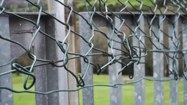 Close Green Torn Damaged Mesh Netting Galvanized Outdoor Lattice Fence — Stock Video