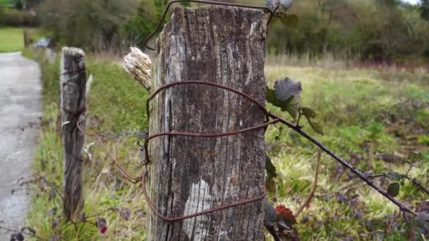 旧的木制栅栏 有生锈的铁丝网 被风吹日晒的荒废牧草围栏旁边的乡村道路 复古视图 — 图库视频影像