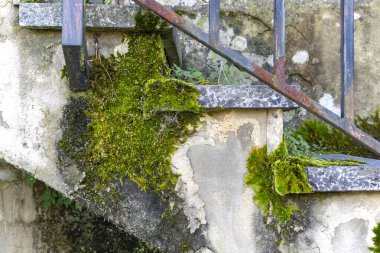 Eski terk edilmiş beton merdiven yosun ve küfle kaplanmış. Yıpranmış beton ve demir korkuluklar