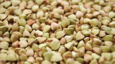 Biyolojik ürün yeşil karabuğday dönüyor. Makro çekim, yavaş çekim.