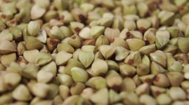 Yeşil karabuğday yakın çekim yığınına düşer. Makro atış. Yavaş çekim