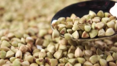 Kurutulmamış yeşil karabuğday taneleri bir kaşıktan dönen bir tohum yığınına dökülür. Biyolojik ürün, yavaş çekim