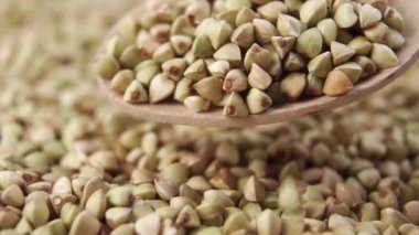 Pişmemiş yeşil karabuğday taneleri bir tahta kaşıktan bir tohum yığınına dökülüyor. Döndürme. Makro atış. Yavaş çekim