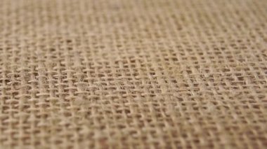 Pişmemiş yeşil karabuğday ağır çekimde çuval bezine düşer. Makro çekim