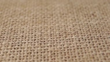 Çuval bezine düşen çiğ yeşil karabuğday inlemelerini kapat. Biyolojik ürün. Makro. Yavaş çekim