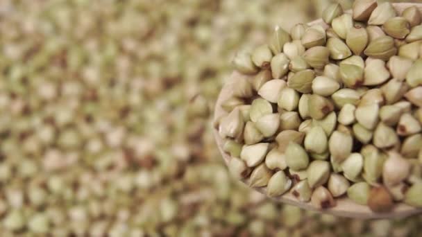 Menuang Buckwheat Hijau Mentah Dari Sendok Kayu Produk Bio Putaran — Stok Video