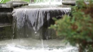 Çeşme çağlayan su akıntısı yaklaşıyor. Bulanık Evergreen ağaç dalı. Yavaş çekim