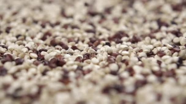 スローモーションで回転するキノアの種子マクロショット グルテンフリー健康食品のコンセプト — ストック動画