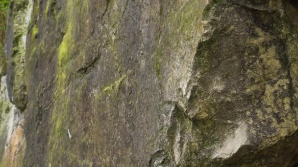野生天然黑色岩石 有苔藓和裂缝 石头的边缘不均匀地关闭 — 图库视频影像