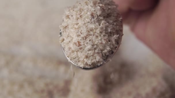 Spoonful Full Psyllium Husk Hand Padající Potravinové Doplňky Slupky Zpomaleném — Stock video