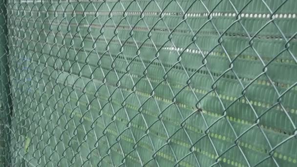 Сетчатый Забор Зеленые Клетки Закрываются Концепция Периметра Безопасности — стоковое видео