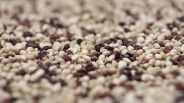 Kinoa makro shot. Yavaş çekimde bir yığın tanenin içine düşüyorum. Doli Vuruşu