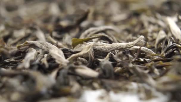 Bílý Čaj Sušené Listy Jehly Otáčejí Zpomaleném Pohybu Makro — Stock video