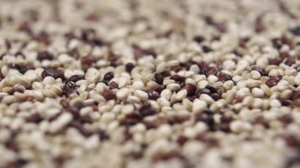 Quinoa Makro Skott Fall Blandning Kärnor Hög Slow Motion Dolly — Stockvideo