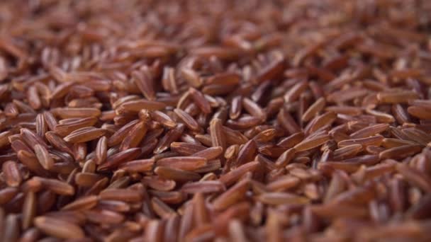 Produit Écologique Riz Brun Macro Shot Cuisine Traditionnelle Asiatique Gros — Video