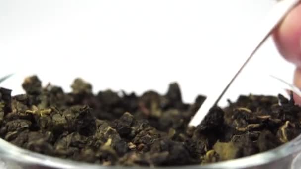 Folhas Roladas Secas Pólvora Chá Verde Fecham Uma Colher Chá — Vídeo de Stock