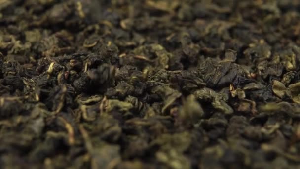 Tradycyjna Niegotowana Zielona Herbata Makro Spadające Suszone Skręcone Liście Zwolnionym — Wideo stockowe