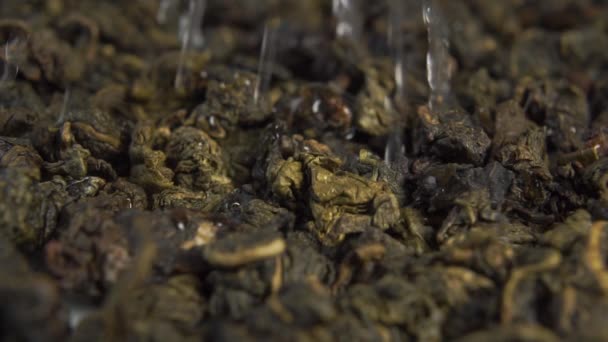 Brewing Dry Green Leaves Gunpowder Tea Water Pours Slow Motion — Stock Video