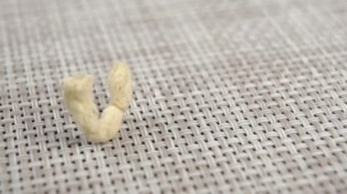 Kalıplı kuru soya taneleri ağır çekimde plastik hasır üzerine yığılır. Makro. Doli Vuruşu