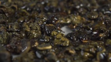 Kuru yeşil çay yapraklarını ıslatıyorlar. Bira yapıyorum. Su emilimine yakın çekim. Makro çekim