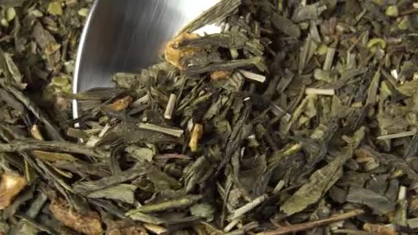 Green tea with hemp and rosebush close-up. Dried leaves of medicinal herbs with marijuana in a spoon. Rotation. Macro