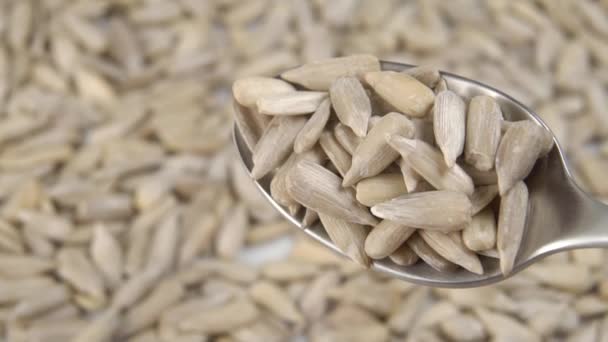 Raw Uncooked Peeled Sunflower Seeds Fall Spoon Heap Slow Motion — Stock Video