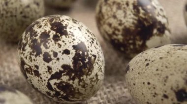 Çuval bezine yakın plan bıldırcın yumurtası. Kırsal tarzda. Makro. Doli Vuruşu