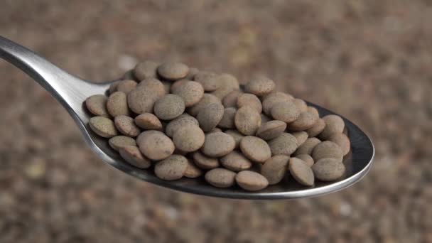 Een Volle Metalen Lepel Rauwe Ongekookte Linzen Macro Heeft Geschoten — Stockvideo