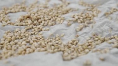 Çiğ kinoa tohumları yavaş çekimde buruşmuş beyaz kağıt peçeteye düşer. Makro. Doli Vuruşu