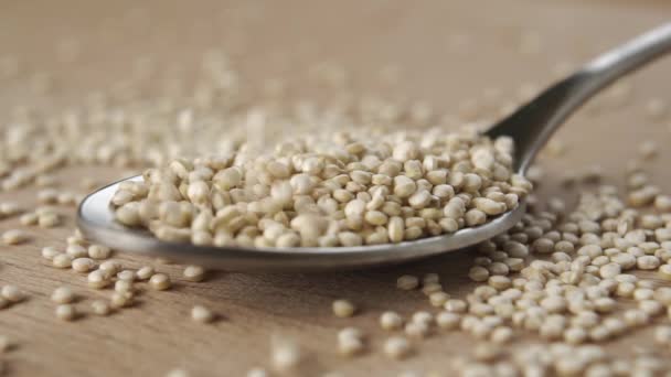 Les Grains Crus Quinoa Remplissent Cuillère Sur Surface Bois Ralenti — Video