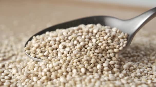 Lepel Verspreidt Rauwe Ongekookte Quinoa Slow Motion Korrels Sluiten Macro — Stockvideo