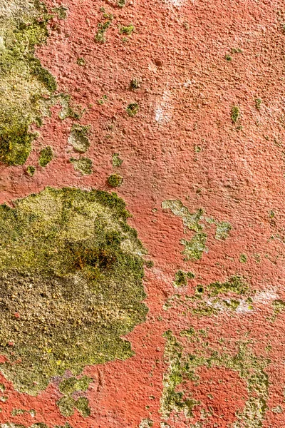 粉刷过的水泥墙被毁 风化腐蚀表面 摘要背景 红色和黄色 纵向观点 — 图库照片