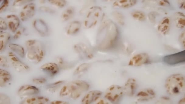 Löffel Rühren Instant Milchpulver Dinkelweizen Frühstück Zeitlupe Getreideflocken Mit Milch — Stockvideo