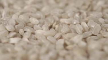 Çiğ integral pirinç yavaş çekimde düşüyor. Tahıllar aşırı yakın çekim. Makro. Doli Vuruşu