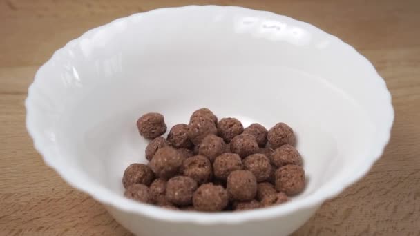 Knusprige Müsli Schokoladenflocken Kugeln Fallen Zeitlupe Eine Weiße Schüssel Nahaufnahme — Stockvideo