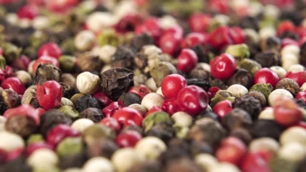 Mixture Colored Pepper Seeds Assorted Peppercorn Macro Dolly Shot — Stock Video