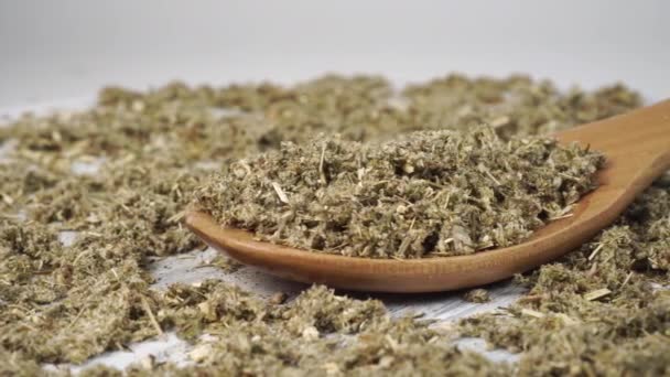 Dried Medical Green Herb Wormwood Wooden Spoon Close Dolly Shot — Stock Video