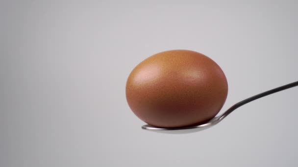 一只生的卵形鸡蛋放在一个白色背景的金属勺子里 褐色易碎的细壳 Dolly Shot — 图库视频影像
