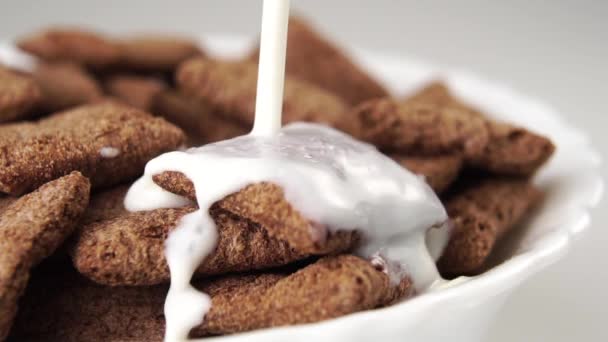 Süt Beyaz Bir Kaseye Çikolata Gevreği Pedleri Ile Doldurulur Yavaş — Stok video